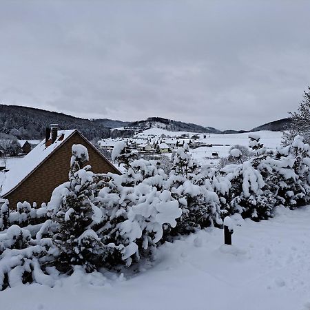 Sauerland-Tinyworld - Ihr Tiny Ferienhaus Im Sauerland Am Diemelsee Dış mekan fotoğraf