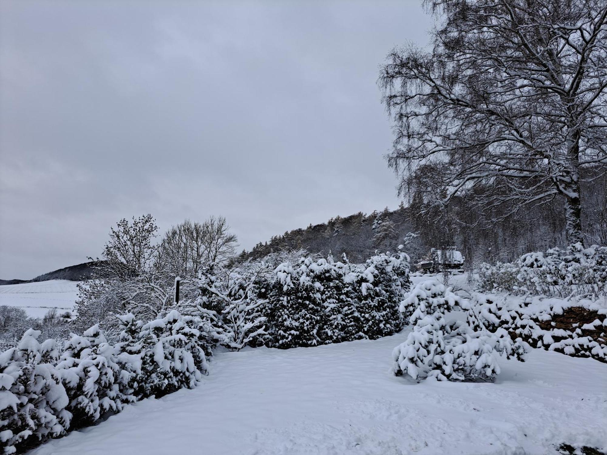 Sauerland-Tinyworld - Ihr Tiny Ferienhaus Im Sauerland Am Diemelsee Dış mekan fotoğraf