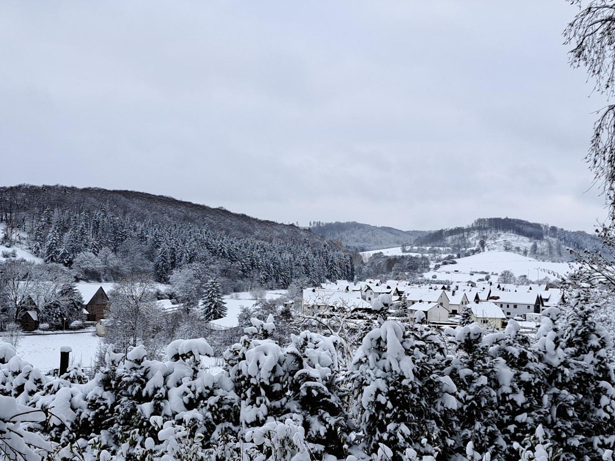 Sauerland-Tinyworld - Ihr Tiny Ferienhaus Im Sauerland Am Diemelsee Dış mekan fotoğraf