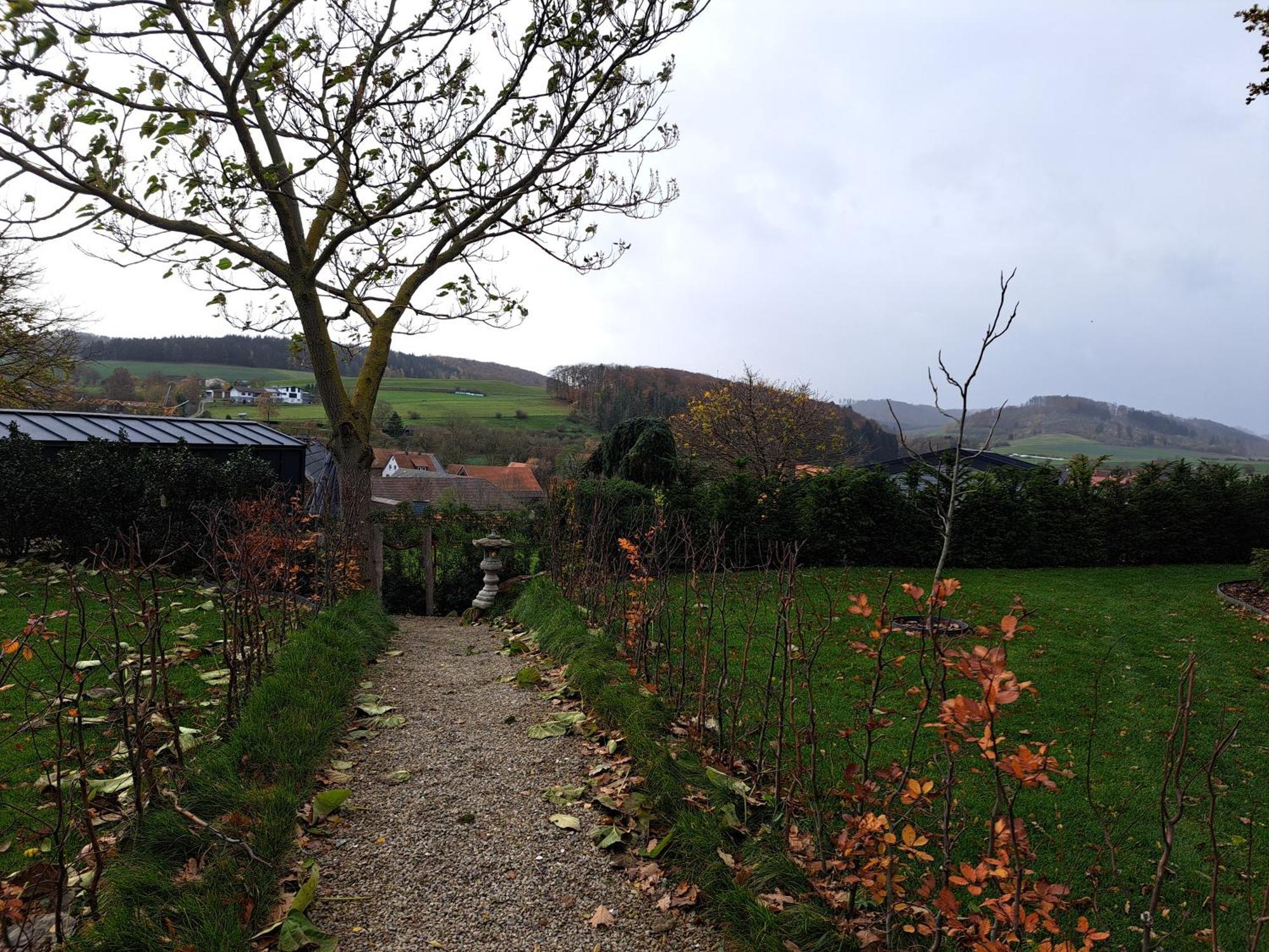 Sauerland-Tinyworld - Ihr Tiny Ferienhaus Im Sauerland Am Diemelsee Dış mekan fotoğraf