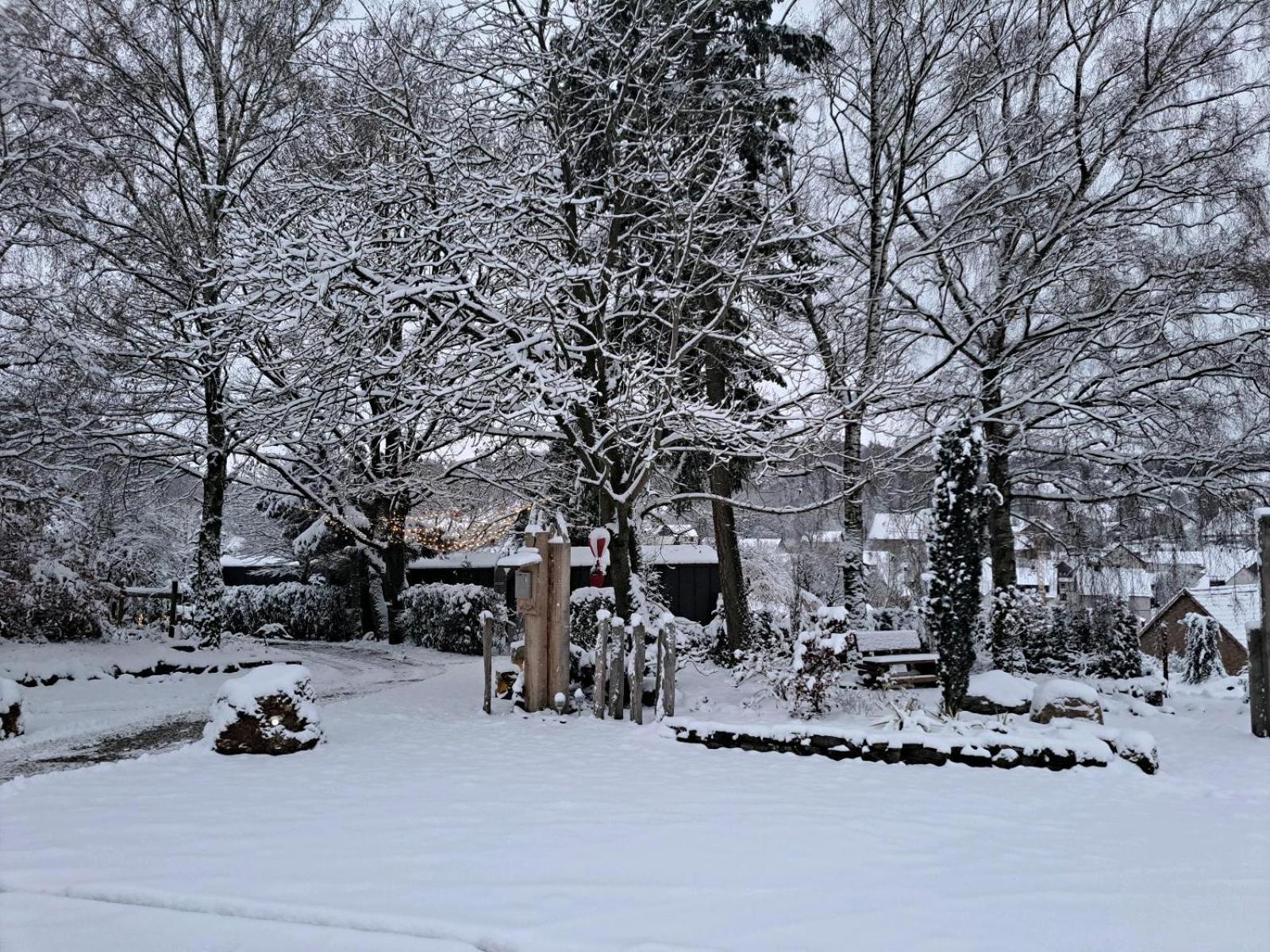 Sauerland-Tinyworld - Ihr Tiny Ferienhaus Im Sauerland Am Diemelsee Dış mekan fotoğraf
