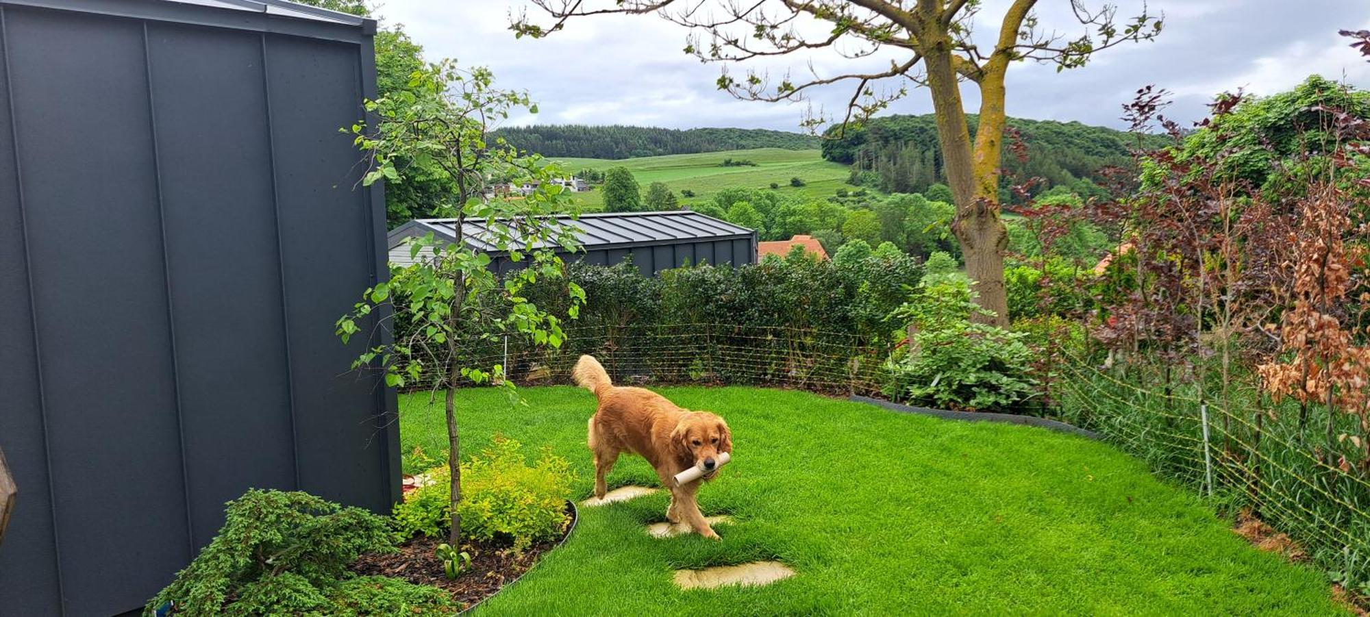 Sauerland-Tinyworld - Ihr Tiny Ferienhaus Im Sauerland Am Diemelsee Dış mekan fotoğraf