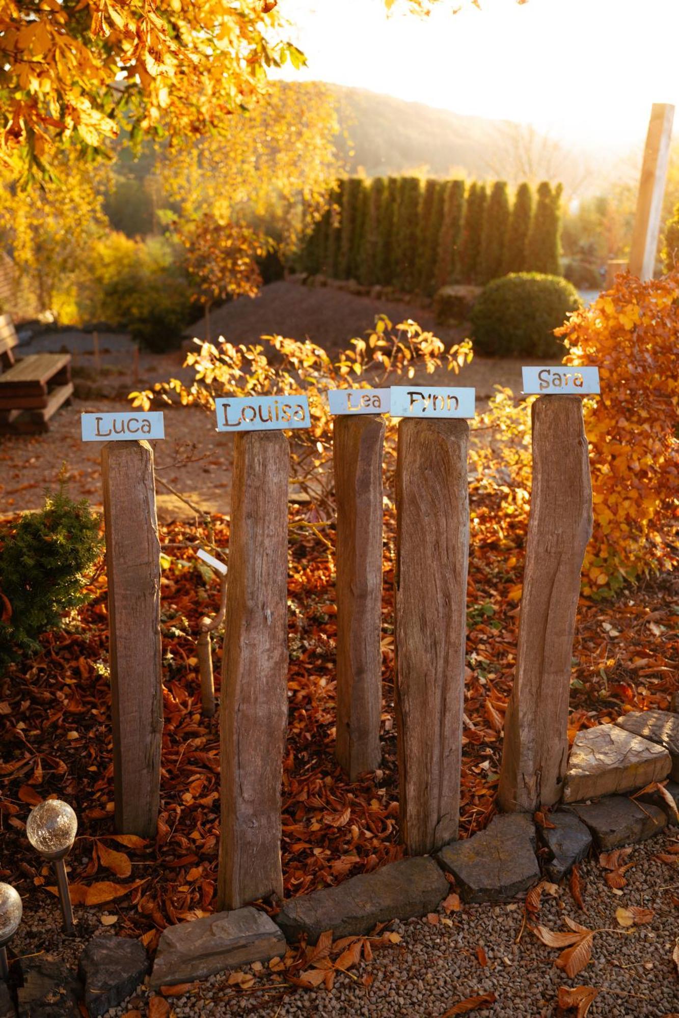 Sauerland-Tinyworld - Ihr Tiny Ferienhaus Im Sauerland Am Diemelsee Dış mekan fotoğraf