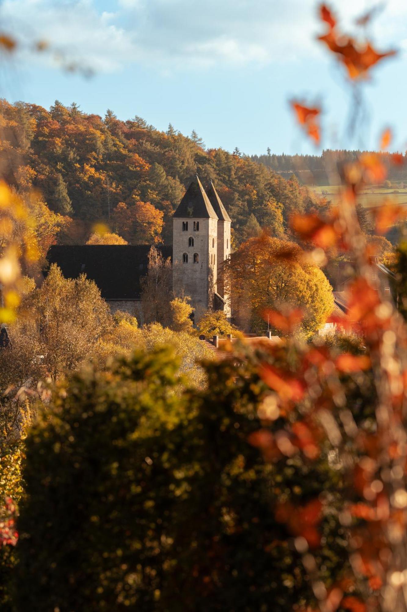 Sauerland-Tinyworld - Ihr Tiny Ferienhaus Im Sauerland Am Diemelsee Dış mekan fotoğraf