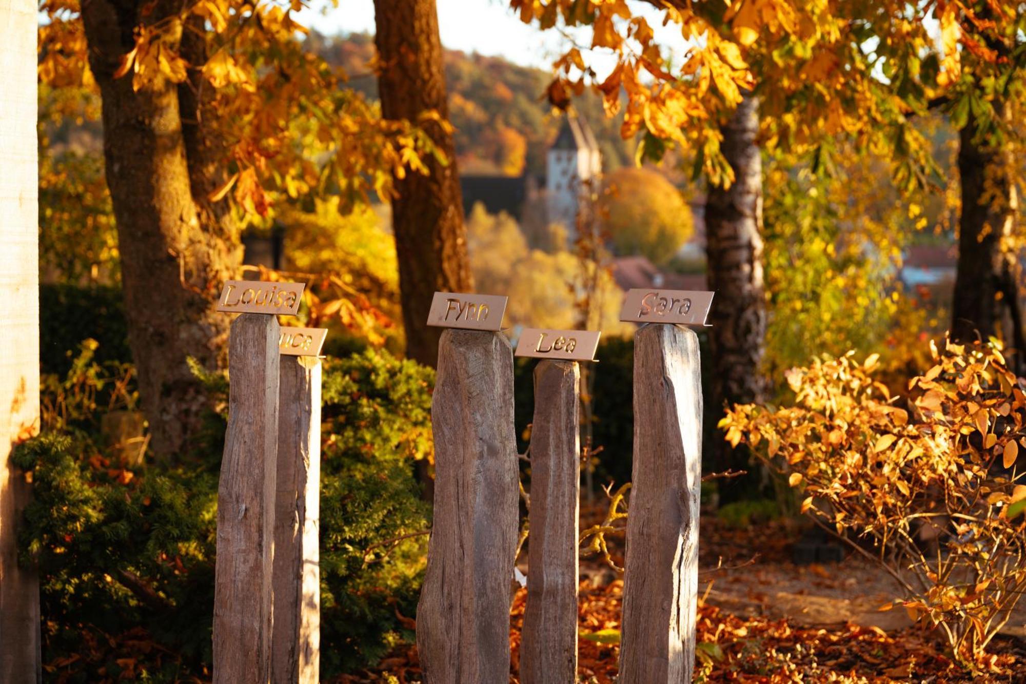 Sauerland-Tinyworld - Ihr Tiny Ferienhaus Im Sauerland Am Diemelsee Dış mekan fotoğraf
