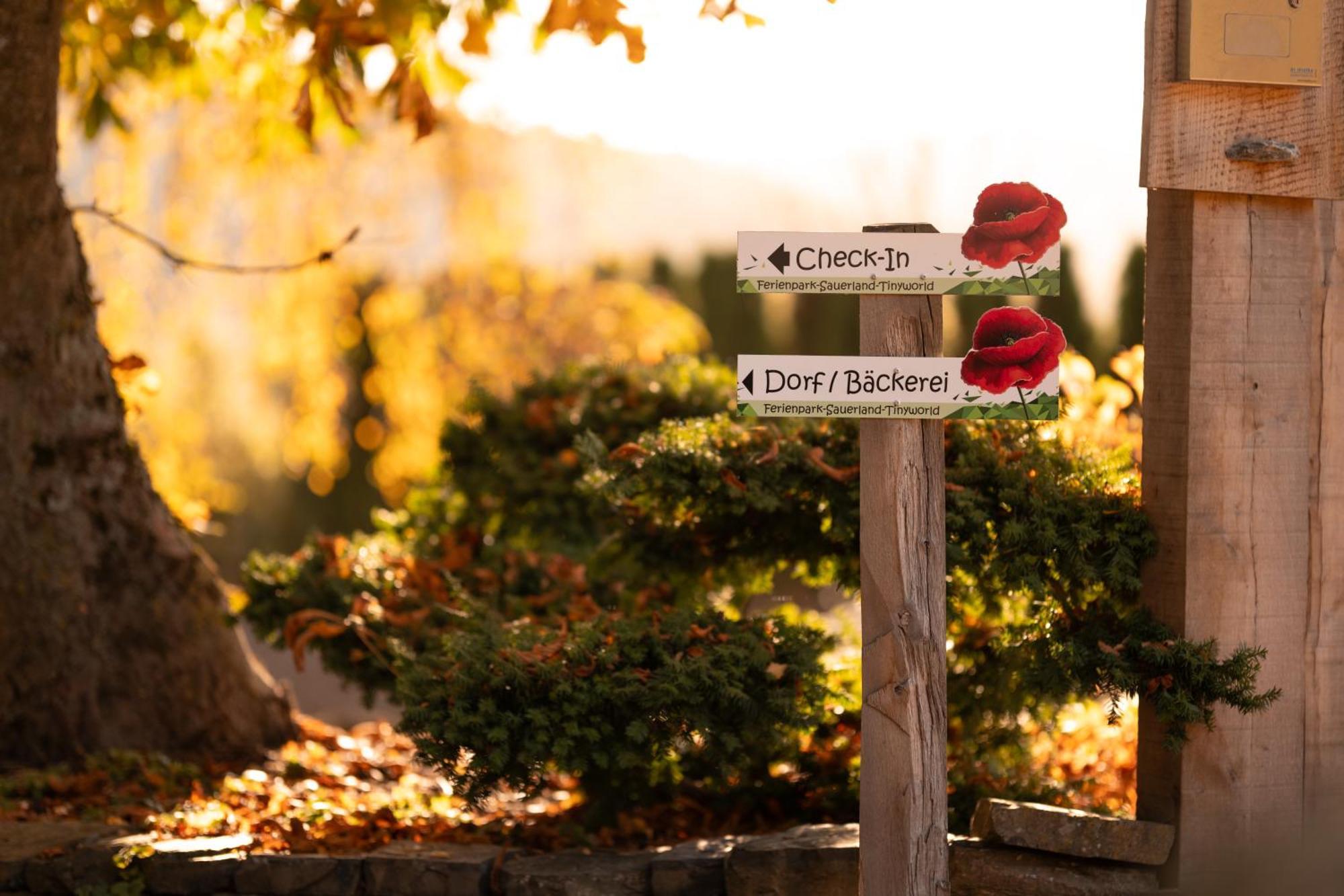Sauerland-Tinyworld - Ihr Tiny Ferienhaus Im Sauerland Am Diemelsee Dış mekan fotoğraf