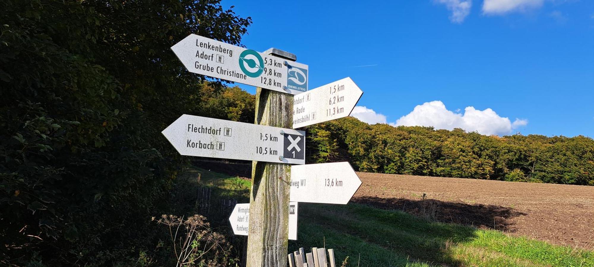Sauerland-Tinyworld - Ihr Tiny Ferienhaus Im Sauerland Am Diemelsee Dış mekan fotoğraf