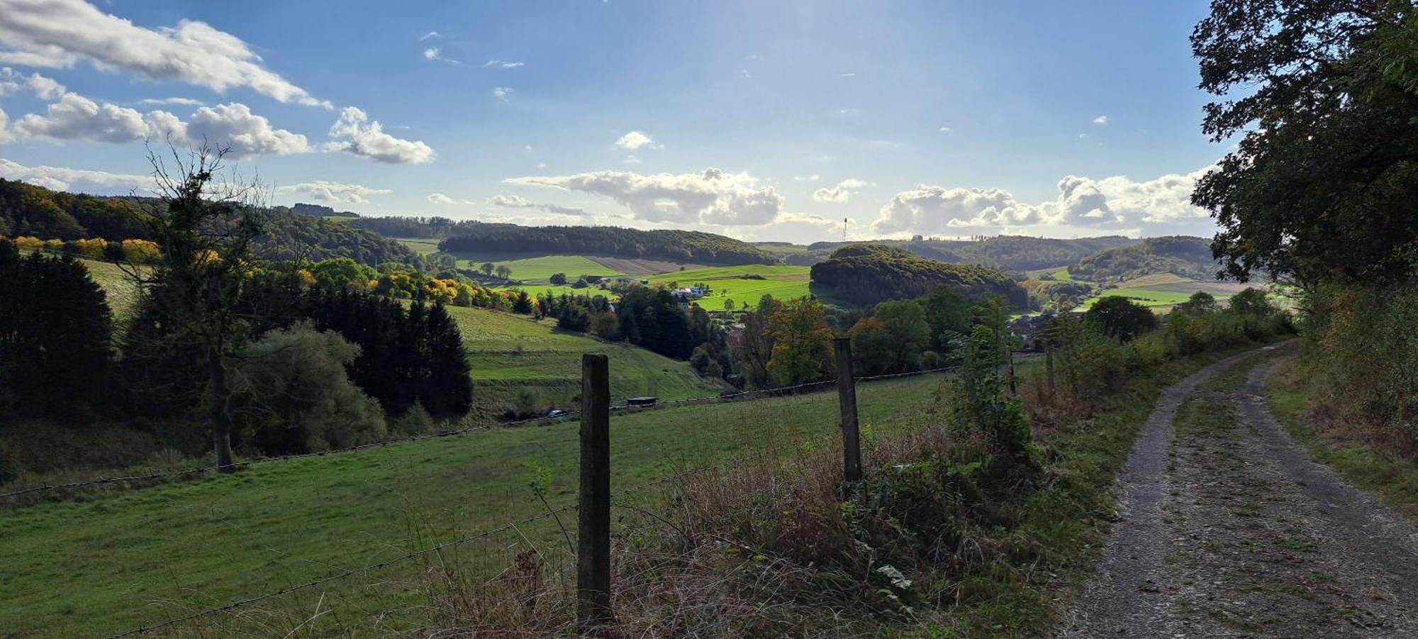 Sauerland-Tinyworld - Ihr Tiny Ferienhaus Im Sauerland Am Diemelsee Dış mekan fotoğraf