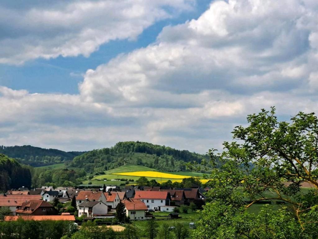 Sauerland-Tinyworld - Ihr Tiny Ferienhaus Im Sauerland Am Diemelsee Dış mekan fotoğraf