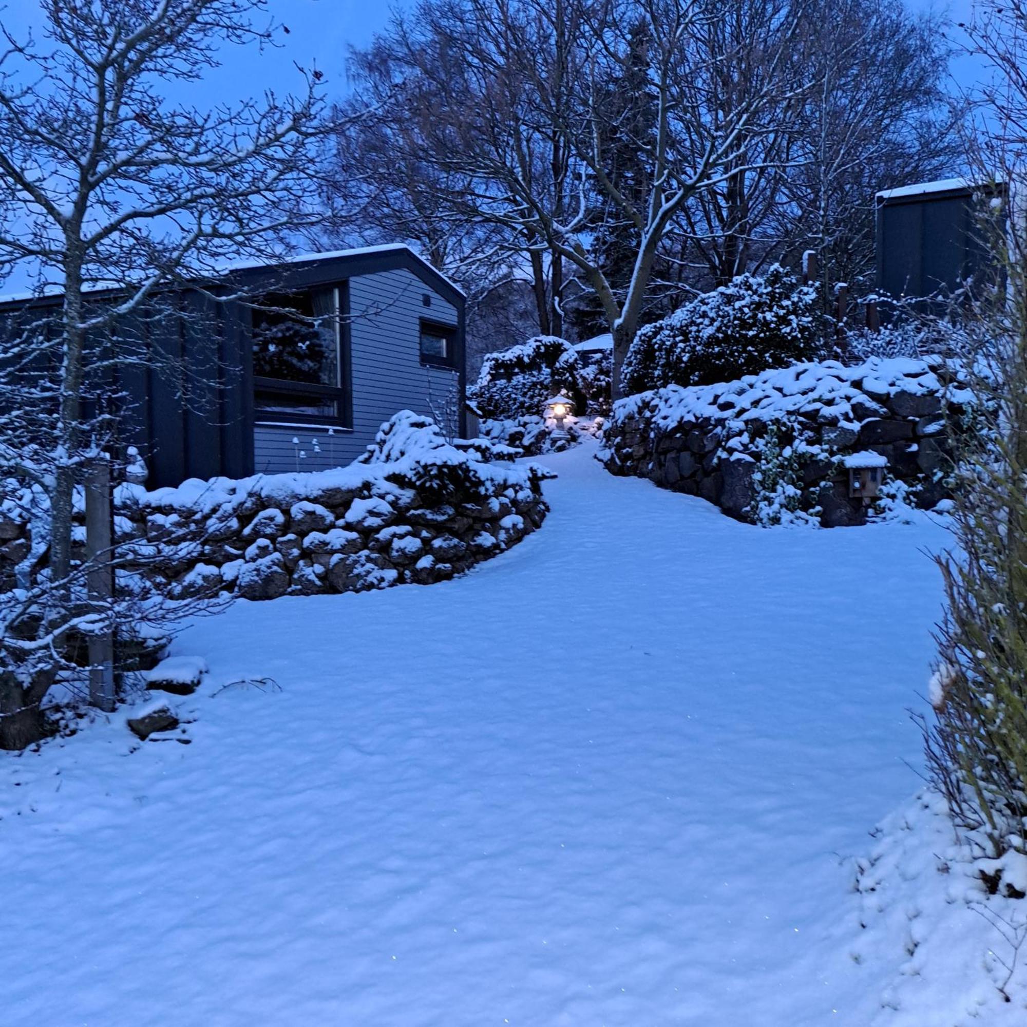 Sauerland-Tinyworld - Ihr Tiny Ferienhaus Im Sauerland Am Diemelsee Dış mekan fotoğraf